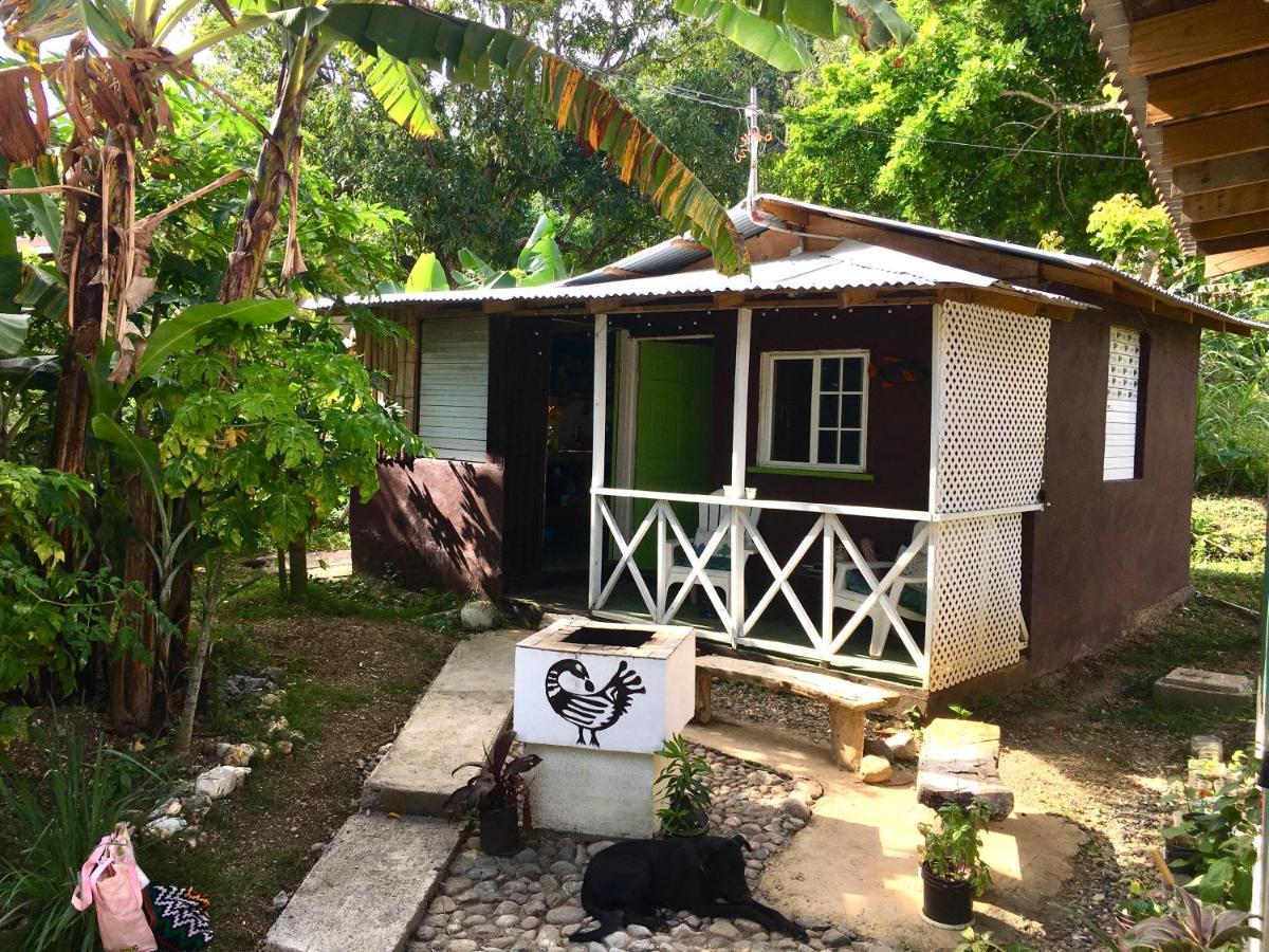 Easymans' Winifred Beach Chalets Port Antonio Exterior foto